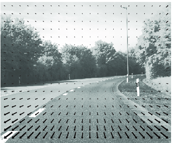 one frame of a monocular image sequence with the displacement field superimposed (arrows)